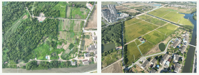 青陽(yáng)鎮(zhèn)：系統(tǒng)推進(jìn)環(huán)境整治，助推鄉(xiāng)村提“顏”增“質(zhì)”